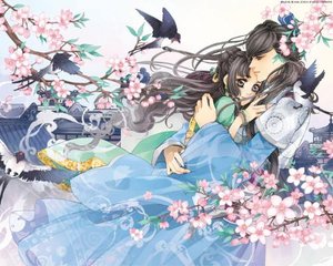 草莓黄瓜绿巨人产品